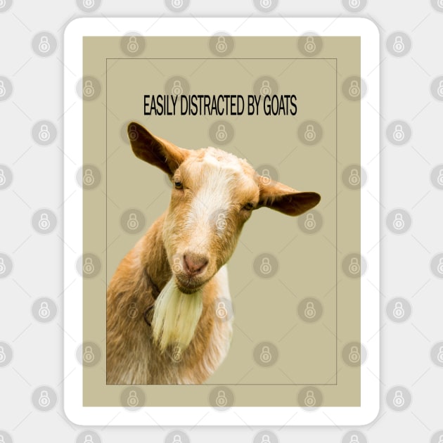 Easily Distracted by Goats Sticker by Jane Stanley Photography